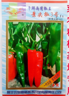 东北景椒辣妹子种子景尖椒3号102春季秋季棚室露地景辣一号蔬
