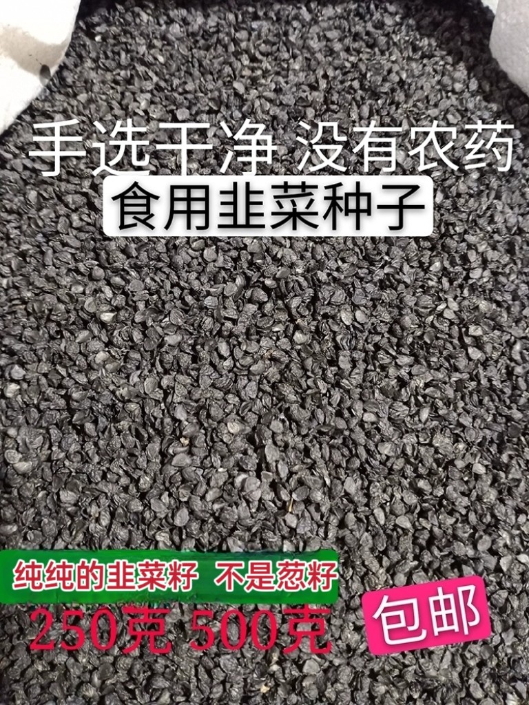食用韭菜种子籽农家手选无杂质包邮散装韭菜籽粉
