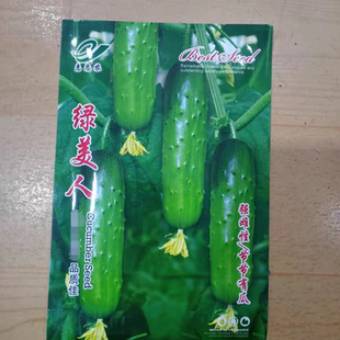 百思特水果黄瓜种子绿贵妃玲珑早熟大棚露地绿瓤春季秋季专用强雌