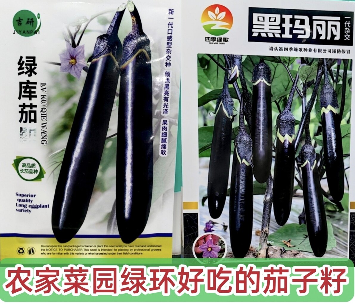 茄子种子黑码丽绿库茄绿环早熟春茬秋茬农家菜园炒菜不掉色皮薄