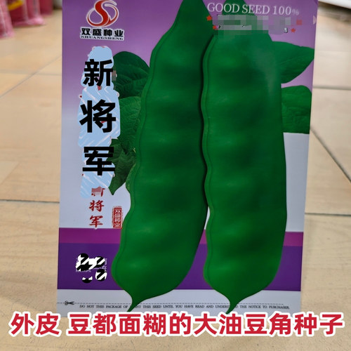 东北压倒架大油豆角种子农家夏季
