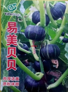 小贝贝南瓜种子东北提纯易美贝贝早shu甜面春季秋季露地棚室新