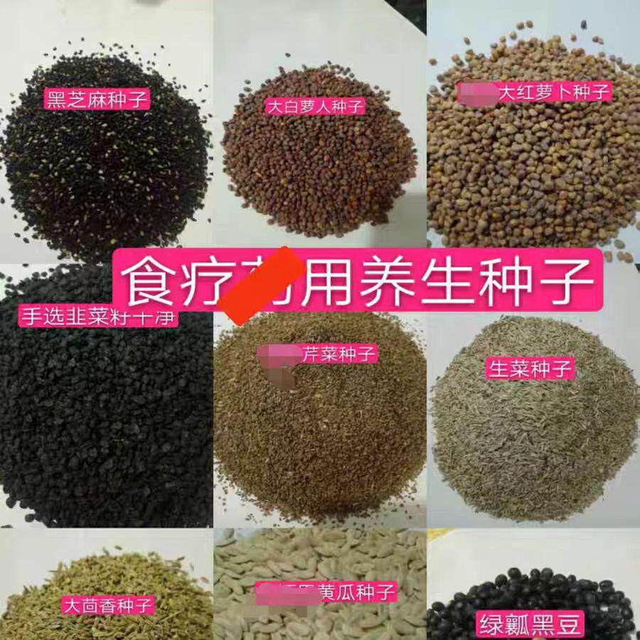 偏方萝卜子绿瓤黑豆大小芝麻芹菜