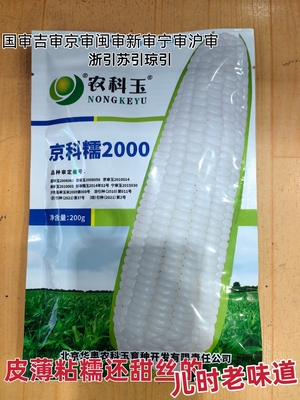 粘甜香京科2000东北白粘玉米种子
