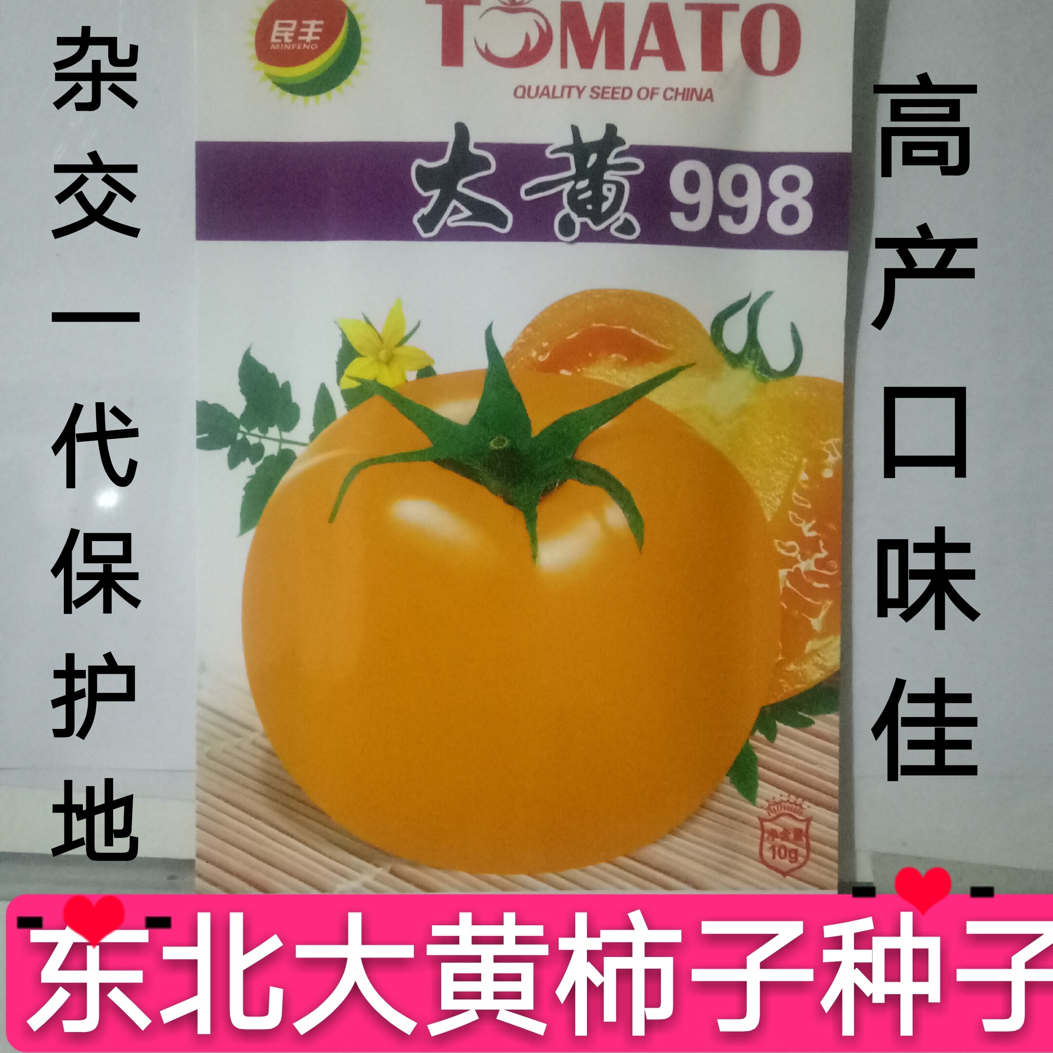 东北大黄西红柿种子菜园阳台春秋大黄柿子988番茄种子300粒