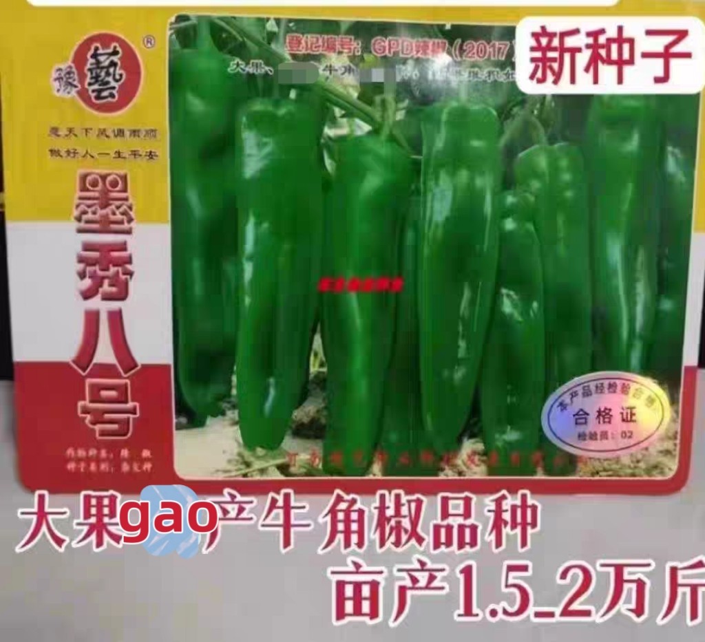 豫艺大果高产墨秀八号牛角椒种子
