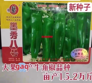 豫艺大果高产墨秀八号牛角椒种子