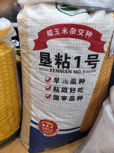 东北粘玉米种子垦粘一号老品种优质正宗农家粘糯甜春季