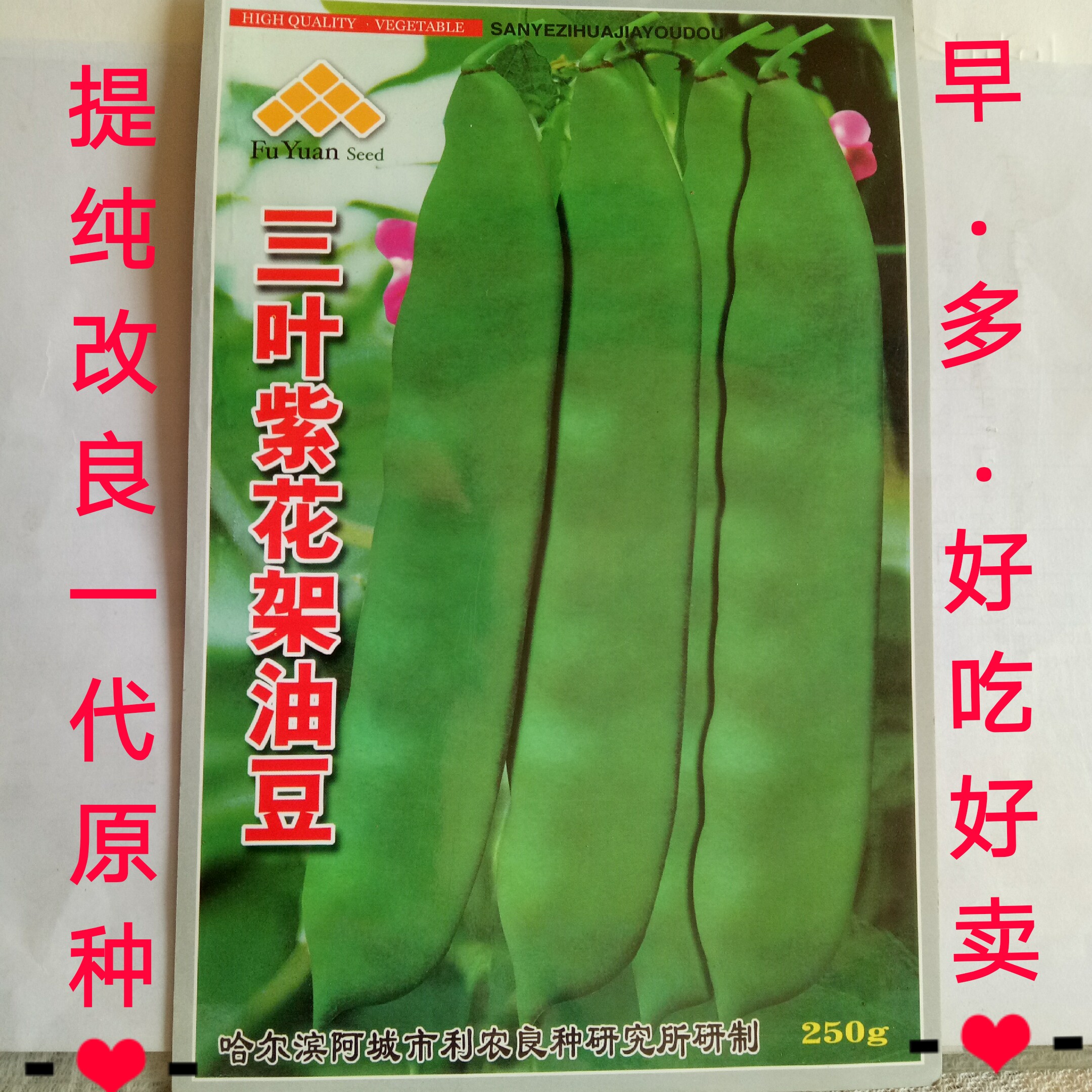 东北紫花油豆角种子早熟一点红越冬春秋开锅烂新种子散装高产夏季