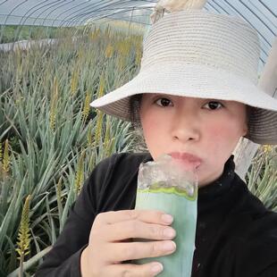 新鲜可食用芦荟大叶片库拉索芦荟叶片直播间食用吃播推荐基地直发