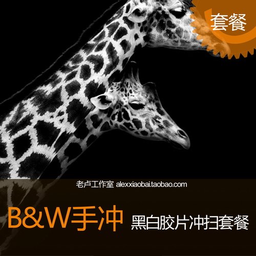 黑白胶卷冲扫套餐D76黑白冲洗