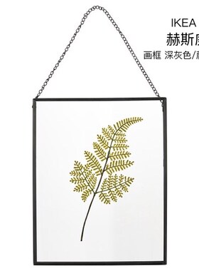 IKEA宜家赫斯威画框相框挂墙装饰壁饰深灰色/蕨类植物摆挂2用特价