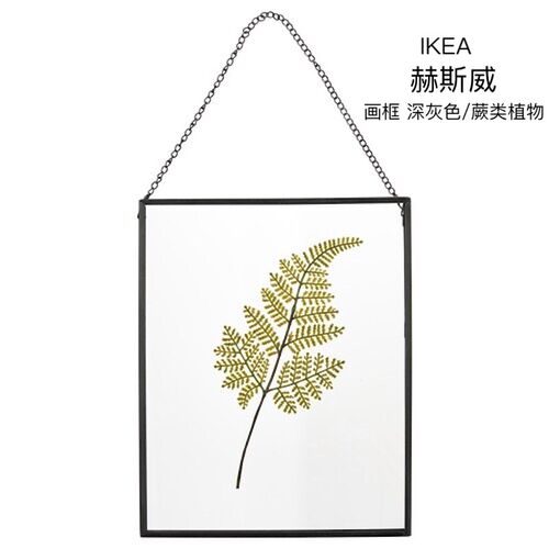IKEA宜家赫斯威画框相框挂墙装饰壁饰深灰色/蕨类植物摆挂2用特价