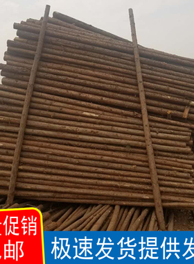 直销天然树木杉木干树段树桩装饰树干杉木杆枯树杆真树干婚庆园林