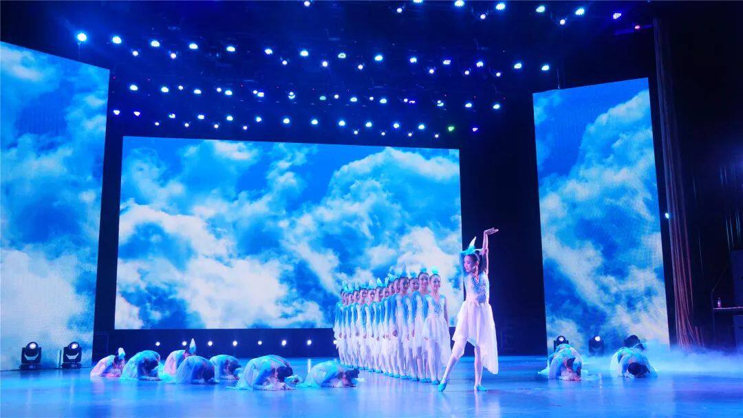 六一《振鹭于飞》新款改良舞蹈表演服女子群舞芭蕾舞纱裙演出服装