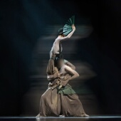 舞蹈演出表演服装 中国舞男女群舞同款 专业定制 松