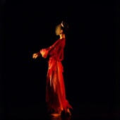 敦煌舞蹈演出表演服装 女子古典舞独舞同款 专业定制 龟兹灯影