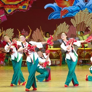 《舞向巅峰》大地篇胶州秧歌安徽花鼓灯专业定制同款舞蹈演出服4