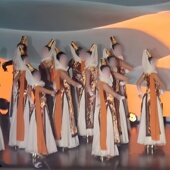 舞蹈演出表演服装 女子民族民间舞群舞同款 专业定制 大漠沙海