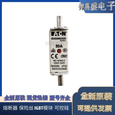 BUSSMANN熔断器125NHG00B-690