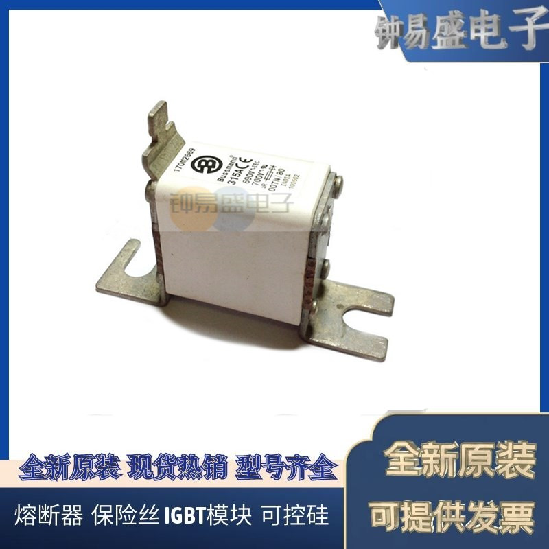 COOPER 伊顿巴斯曼BUSSMANN熔断器170M2669 690V 315A