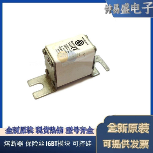 COOPER 伊顿巴斯曼BUSSMANN熔断器170M2619 690V 315A 熔丝