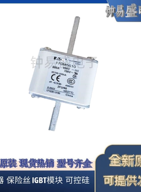 出售Bussmann熔断器170M5615 5616 5617 5618 5658 5659 5660