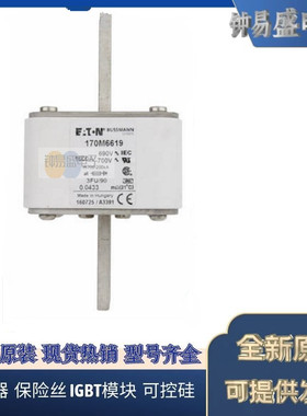 出售Bussmann熔断器170M6615 6616 6617 6618 6619 6620 6621