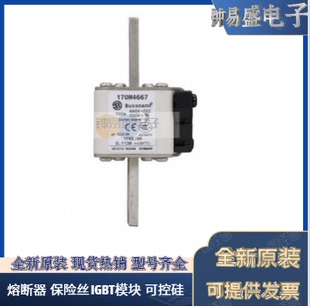 出售Bussmann熔断器170M4667 4668 4669 4708 4709 4710 4711