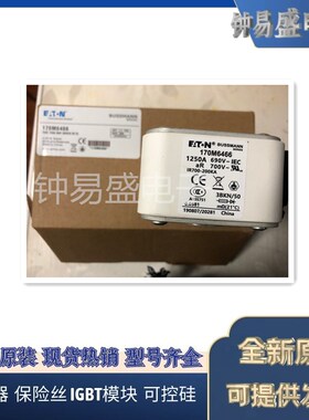 美国伊顿EATON Bussmann熔断器170M6466 690V 1250A 快速熔断器
