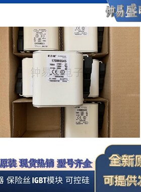 美国伊顿EATON Bussmann熔断器170M6516