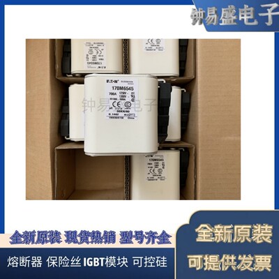 美国伊顿EATON Bussmann熔断器170M6559