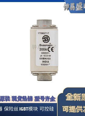 美国伊顿EATON  Bussmann熔断器170M2715