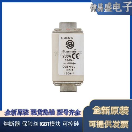 美国伊顿EATON  Bussmann熔断器170M2713
