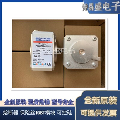 罗兰熔断器PC33UD69V900TF A300081   PC33UD69V1000TF B300082