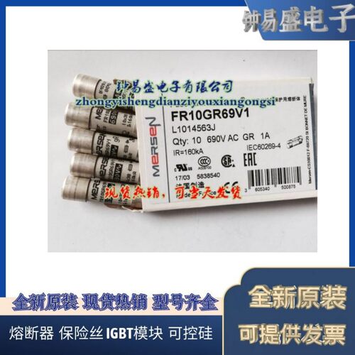FR10GR69V1  690V 1A  现货热销