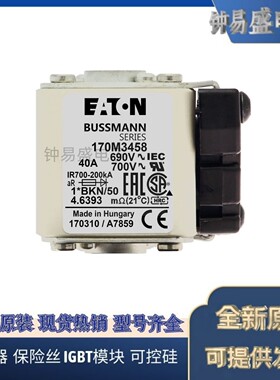 美国伊顿EATON  Bussmann熔断器170M3458