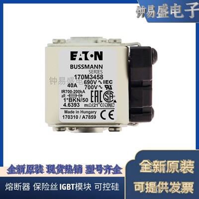 美国伊顿EATON  Bussmann熔断器170M3423