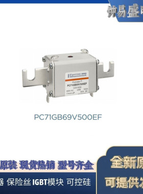 罗兰熔断器PC71GB69V400EF D301326   PC71GB69V500EF G301858