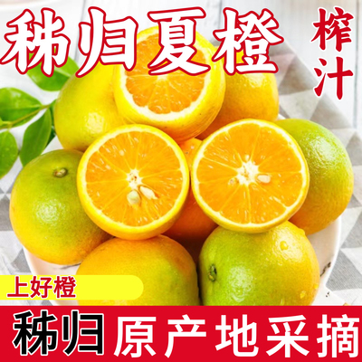 夏橙宜昌秭归脐橙10斤整箱当季现摘新鲜甜橙子果冻橙柑橘夏橙水果