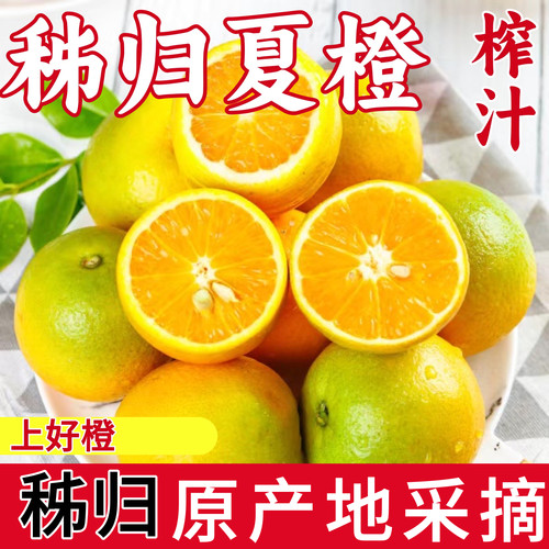 夏橙宜昌秭归脐橙10斤整箱当季现摘新鲜甜橙子果冻橙柑橘夏橙水果