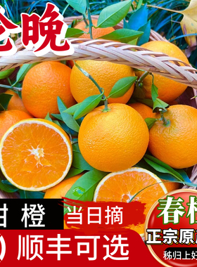 顺丰包邮伦晚脐橙子正宗秭归脐橙子当季新鲜水果整箱甜橙柑橘桔子