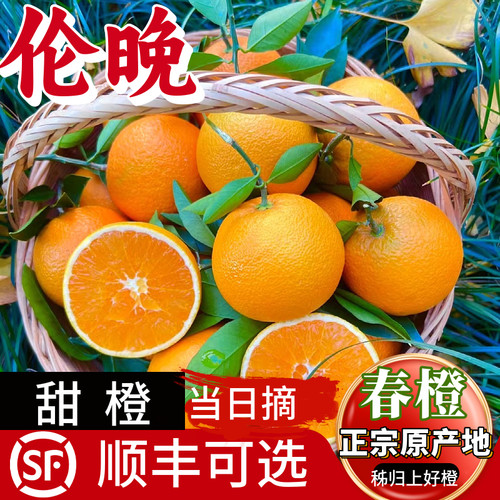 顺丰包邮伦晚脐橙子正宗秭归脐橙子当季新鲜水果整箱甜橙柑橘桔子