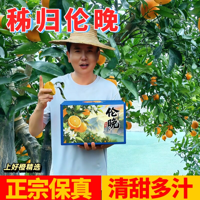 秭归伦晚脐橙子5斤正宗应当季新鲜橙子酸甜多汁整箱水果9斤果冻橙
