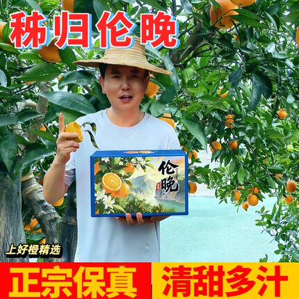 秭归伦晚脐橙子5斤正宗应当季新鲜橙子酸甜多汁整箱水果9斤果冻橙