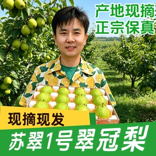 湖北翠冠梨新鲜翠玉梨冰糖苏翠一号梨子酥脆青皮梨子当季现摘水果
