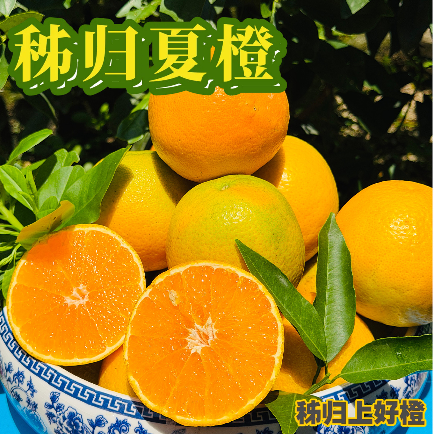 夏橙宜昌秭归脐橙10斤整箱当季现摘新鲜甜橙子果冻橙柑橘夏橙水果