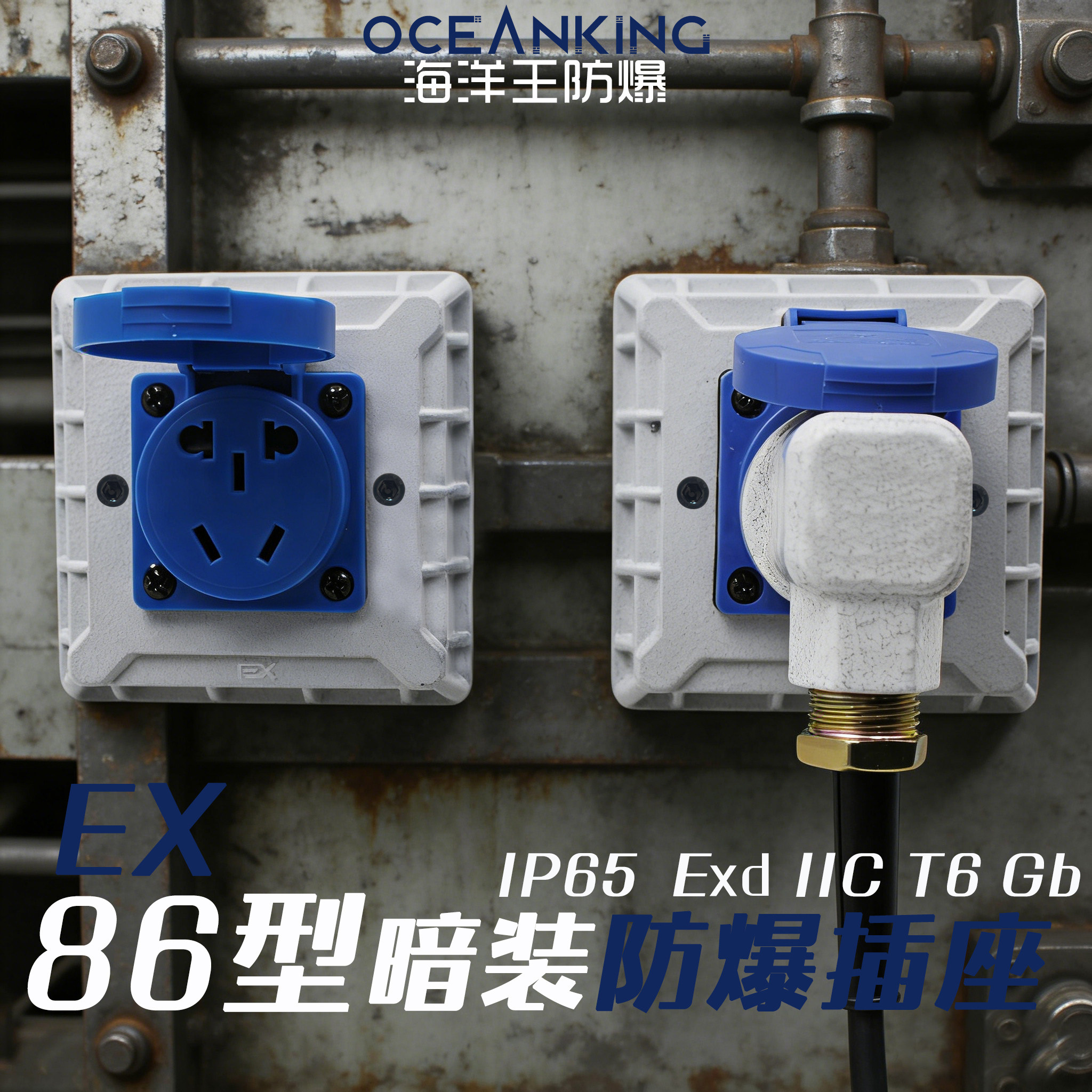 86型防爆插座暗装220v10A16AExdIICT6防水ip65防腐WF2海洋王防爆