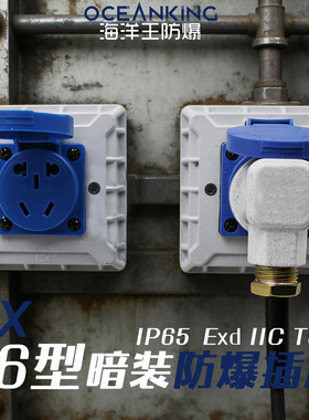 86型防爆插座暗装220v10A16AExdIICT6防水ip65防腐WF2海洋王防爆