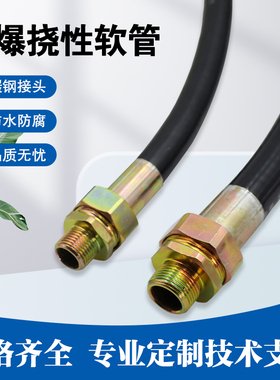 防爆软管耐高温耐低温BNG挠性管连接管内外丝DN15/20/25多种规格
